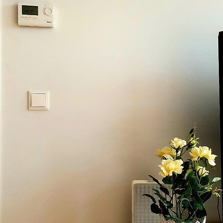 Near Lake Two Bedroom Fully Furnished Apartment Vienna Exterior photo